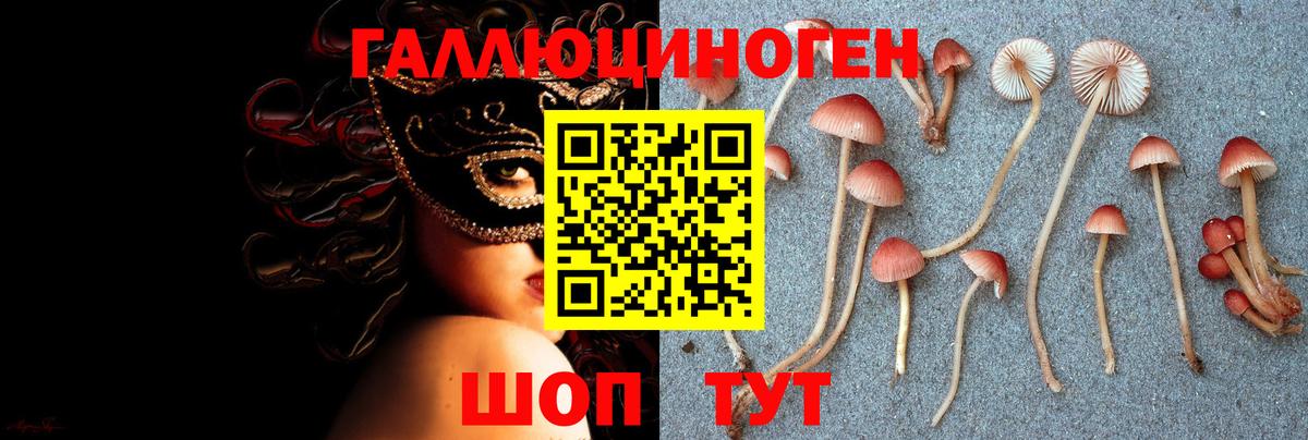 Галлюциногенные грибы Magic Shrooms  Вход с VPN  Хасавюрт 