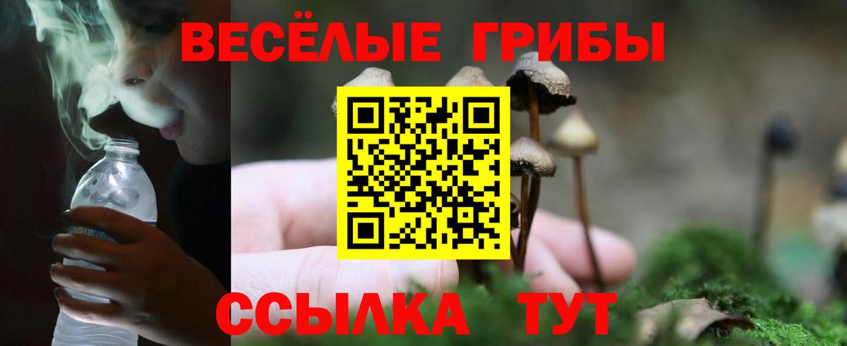 Псилоцибиновые грибы прущие грибы Хасавюрт